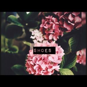 Shoes begins Here💕💕